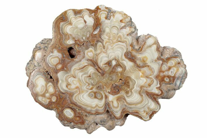 Polished Aragonite Stalactite Slice - Morocco #255374